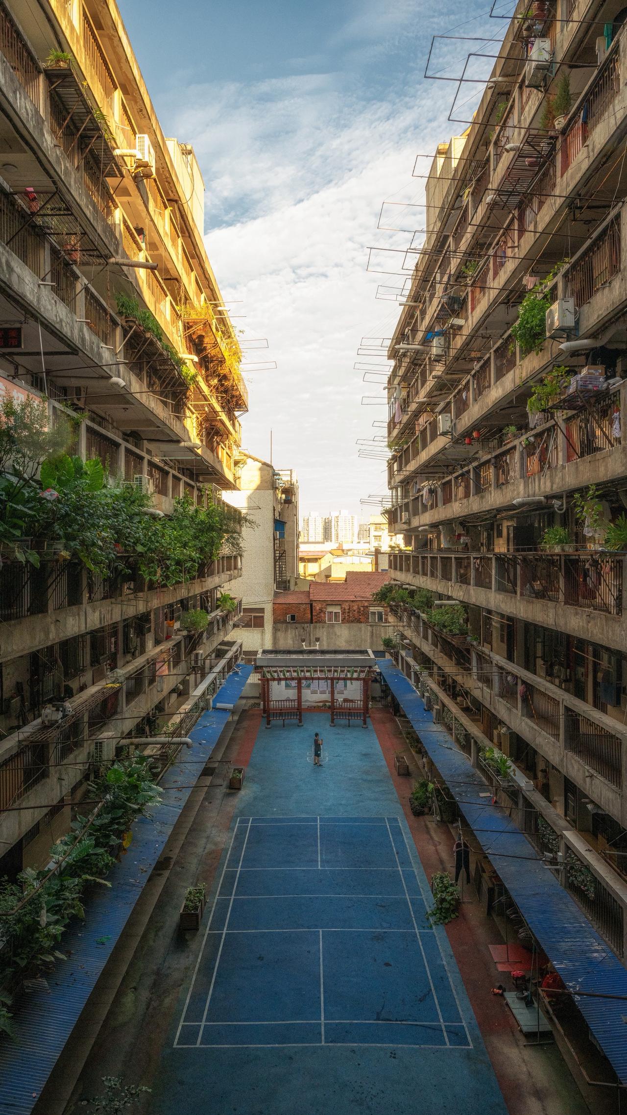 在最热的时候，去了趟武汉呆了些时日，同是长江边上的城市，不过，一个是山城，一个是