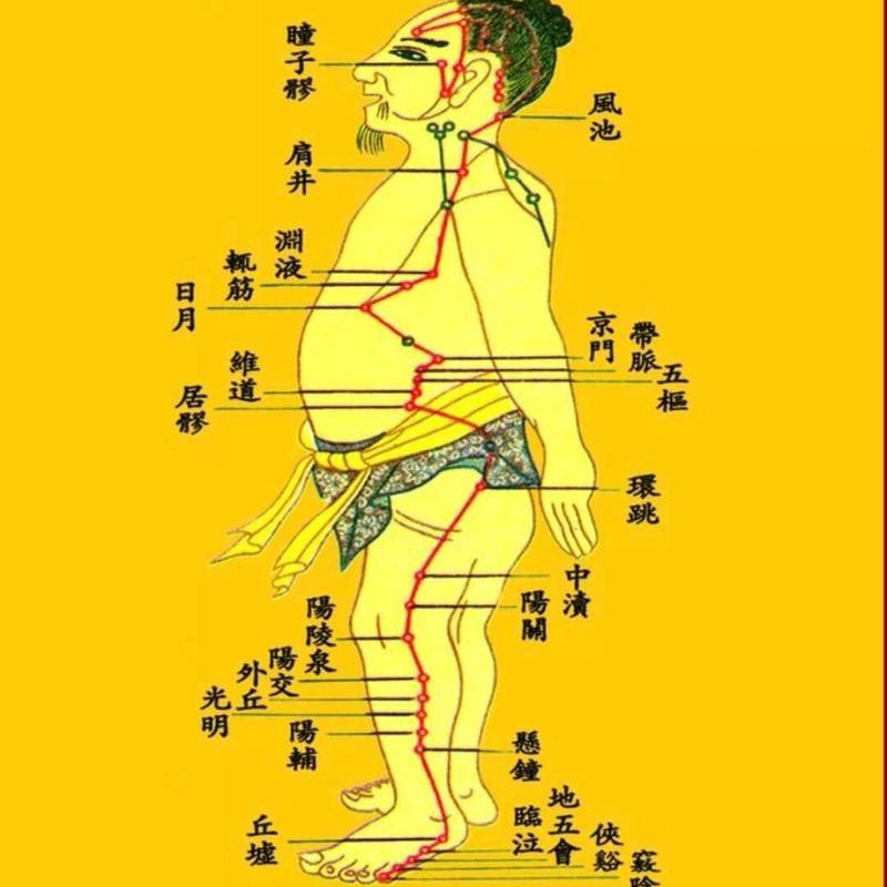 耳鸣耳聋别放弃！2味药一补一通，补肾疏肝，新鸣久响都能调我是陈大夫⚠️作品声