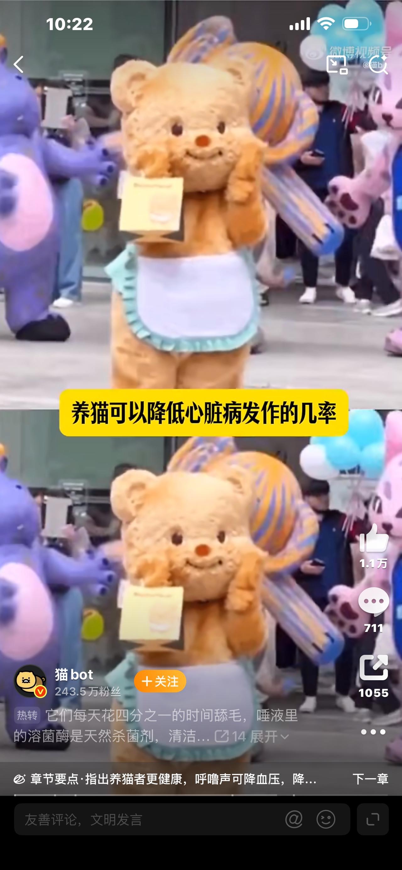 专家直言小猫上床并不脏！铲屎官争论不休，看完终于不用纠结啦专家说小猫上床是不