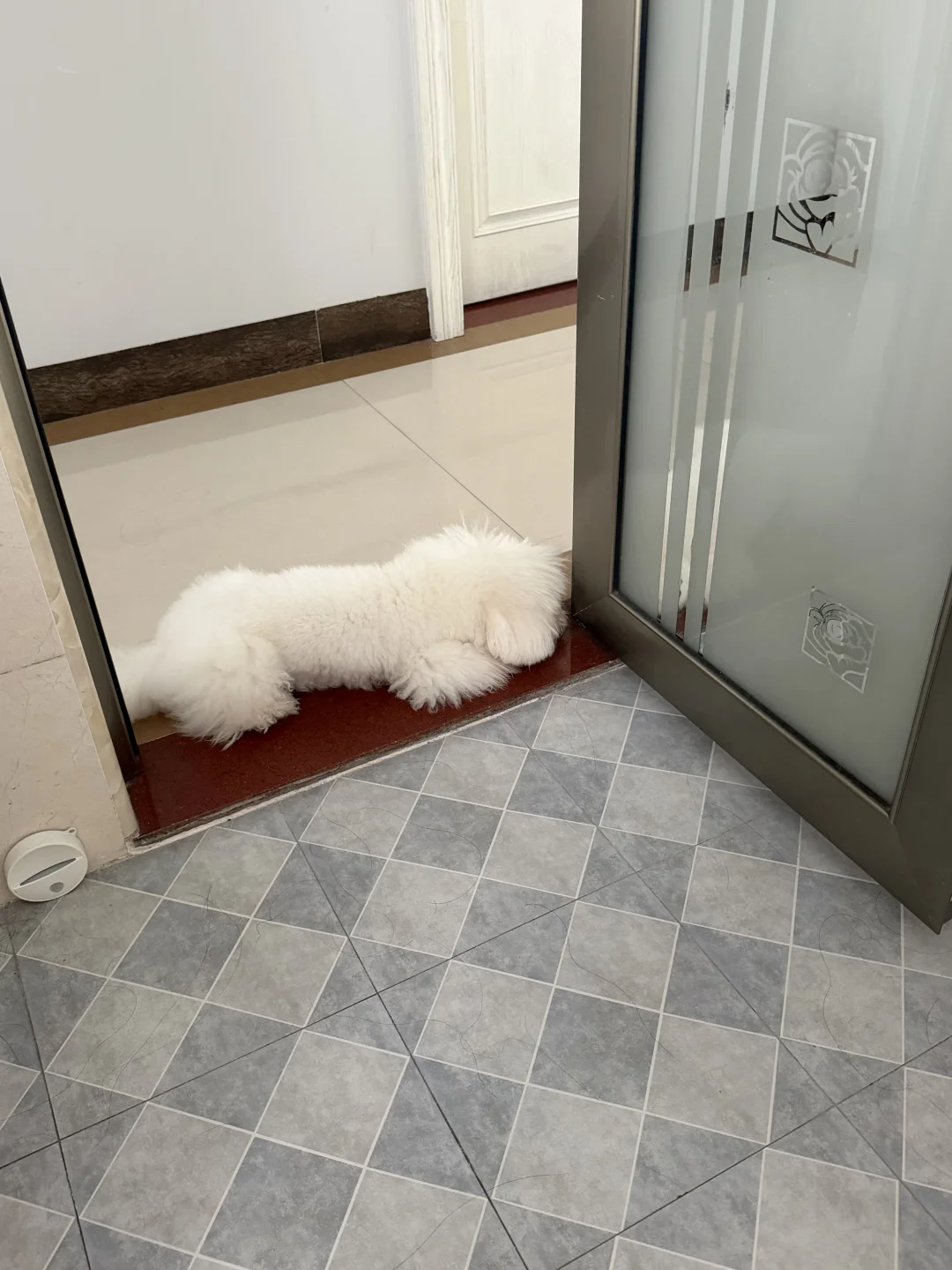 合格的厕所搭子