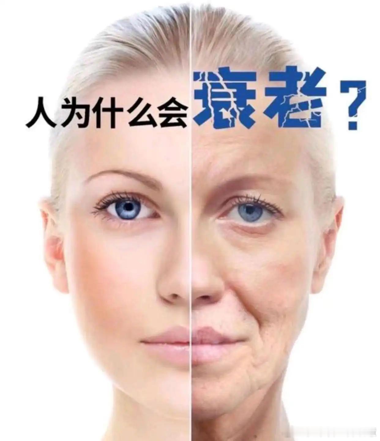 内调才是真正的抗衰老根本健闻登顶计划抗衰不是靠某一种“神奇食物”，而是靠一整套