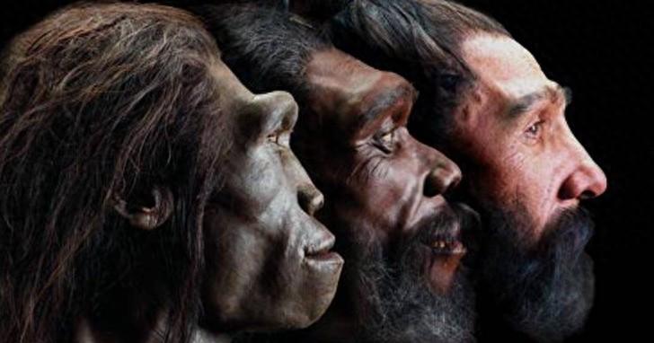 “我上大学时学的是北京猿人是我们的祖先，再往前还有元谋人，而欧洲人的祖先是尼安德