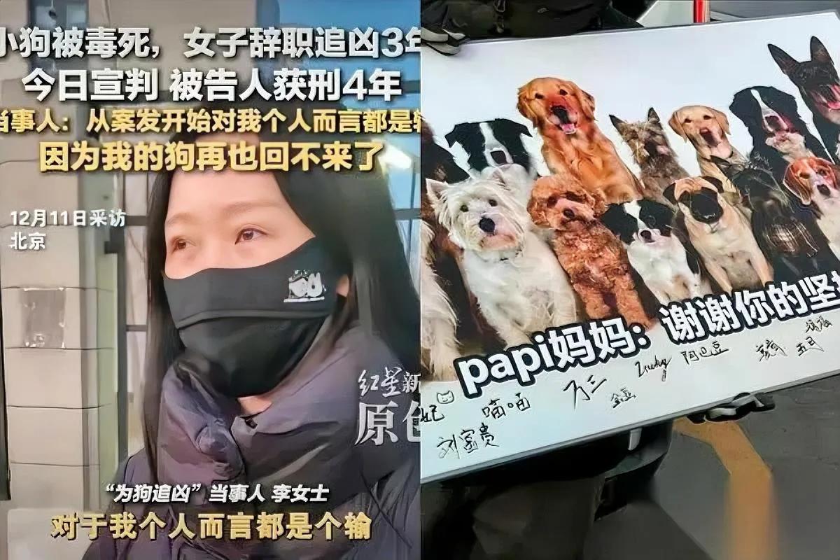 李女士维权为啥总戴口罩？13年“家人”被毒杀却藏着脸说是为爱犬讨公道，北