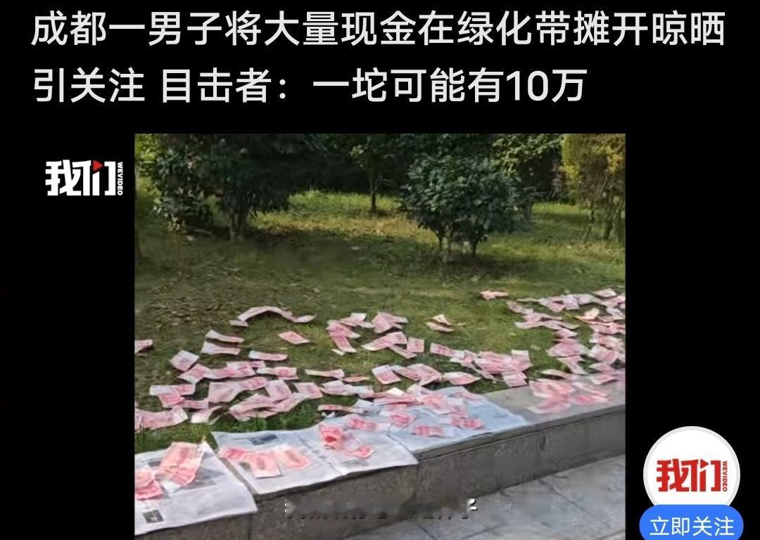 今天发现好多媒体平台都在发布这个消息，就是四川成都天府大道中段，一个男子将报纸包