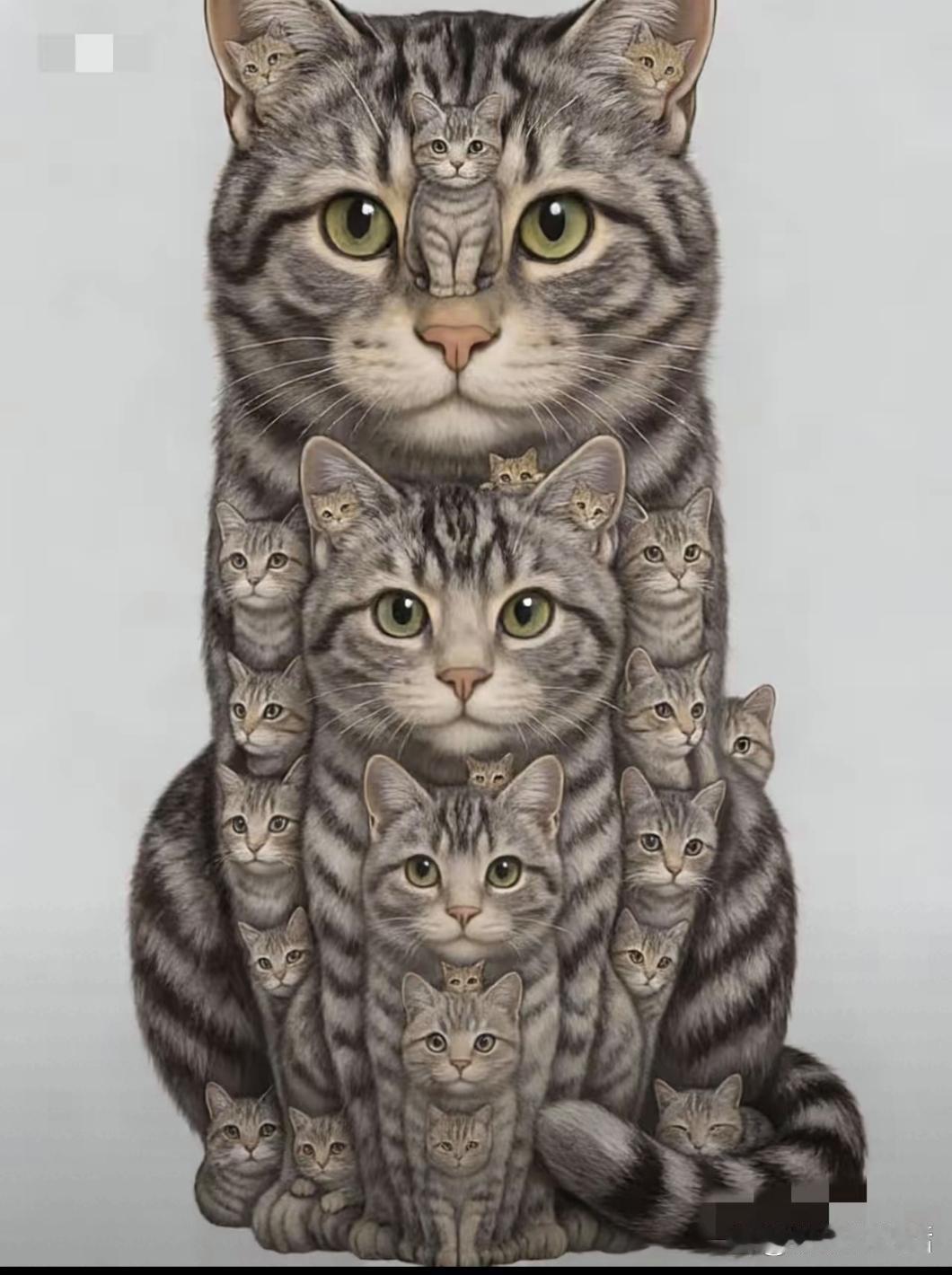 图中有几只猫？谁能数过来。