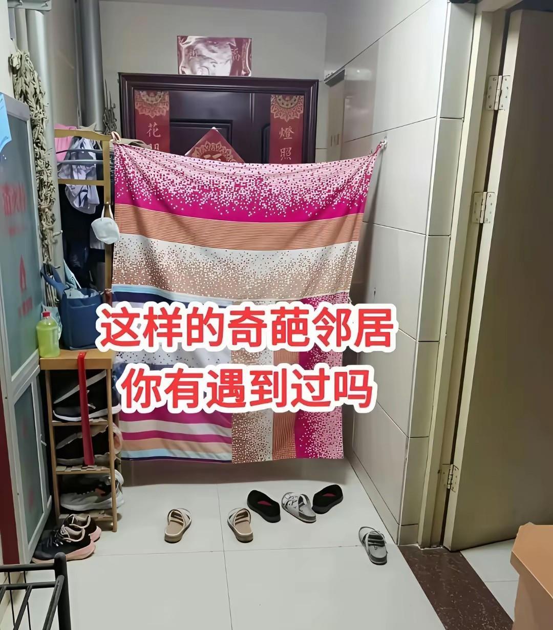 这样的邻居，你喜欢吗？