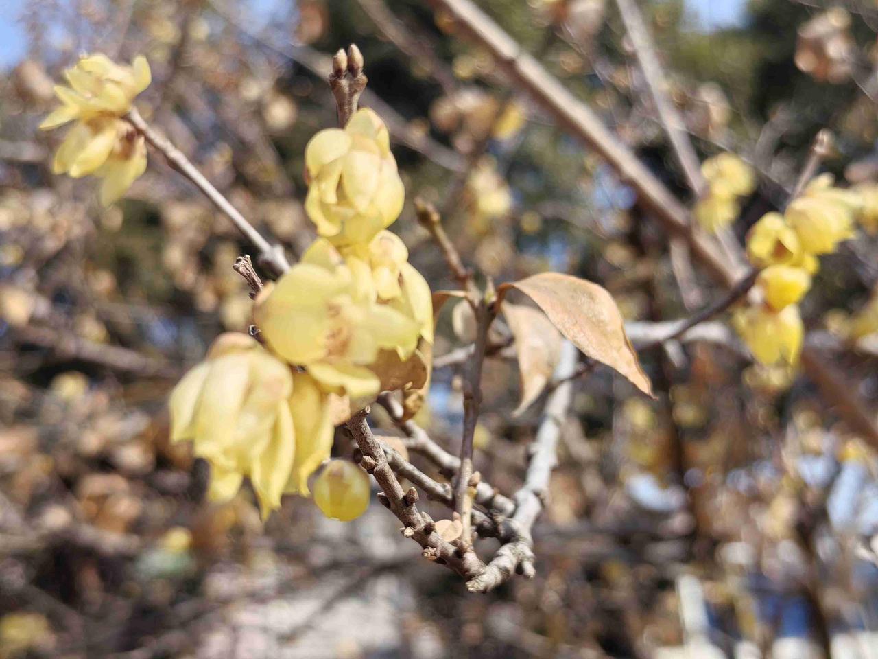 大清早就听到一个噩耗，说是我们这里有个48岁的男人，出去倒个垃圾，一跤摔下去，就