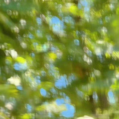 环梦牵0000葡萄的种植方法1. 选地与土壤：选光照充足（每天≥6小时）、排水