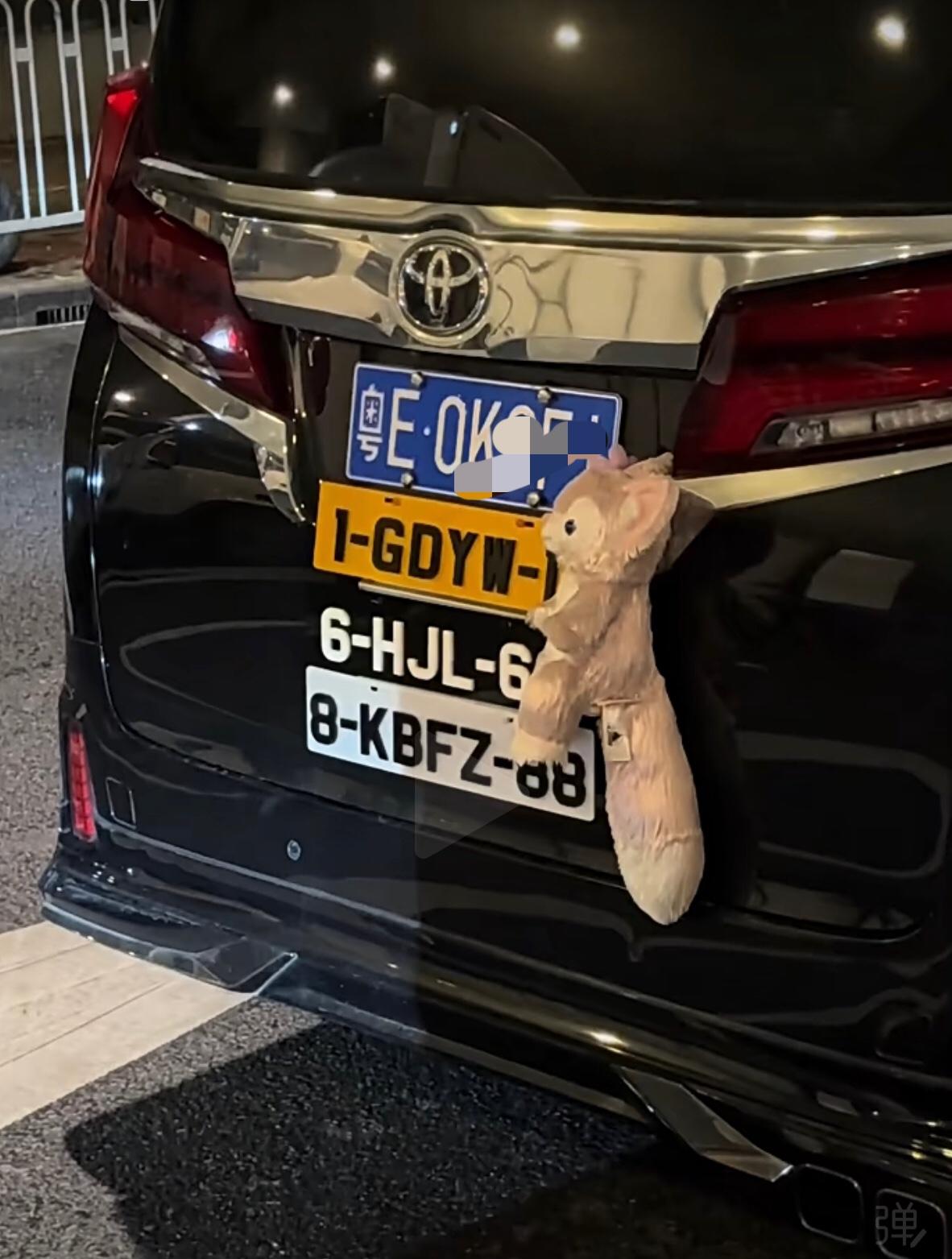 除了蓝牌以外，其他的都是假的？先不说他敢不敢用假的，这四地车牌，如果是真的，上