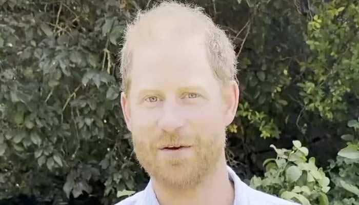 哈里王子新视频深情告白：与英国军人遗孤的“特殊联结”，这次为何打动人心？就在查