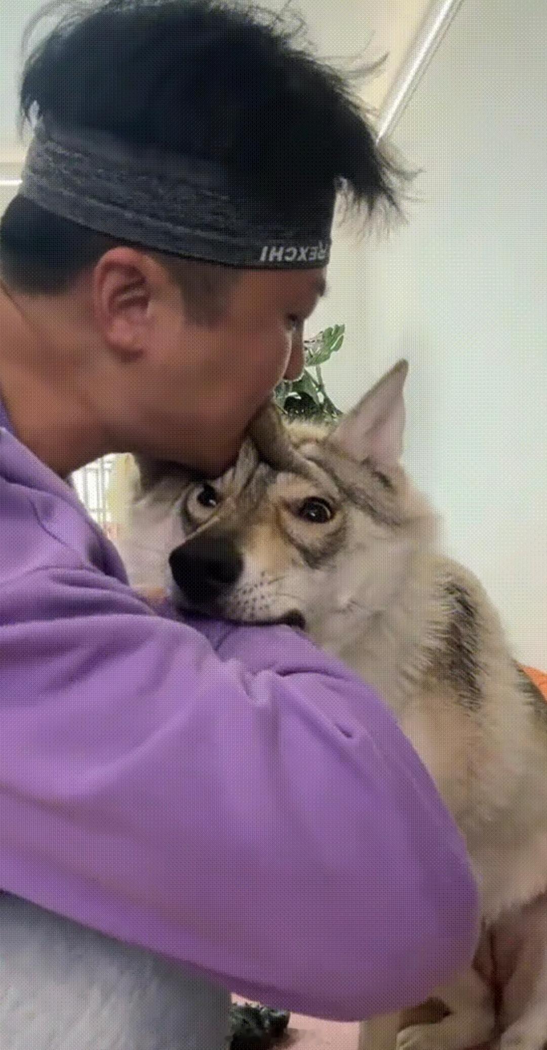 狗：？？？？？​​​