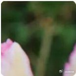 电影《他其实没有那么喜欢你》里有一句话说，如果一个男人不打电话给你，他是真的不想