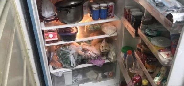 冰箱附近睡觉好吗_冰柜好还是冰箱好_冰箱3门好还是2门好