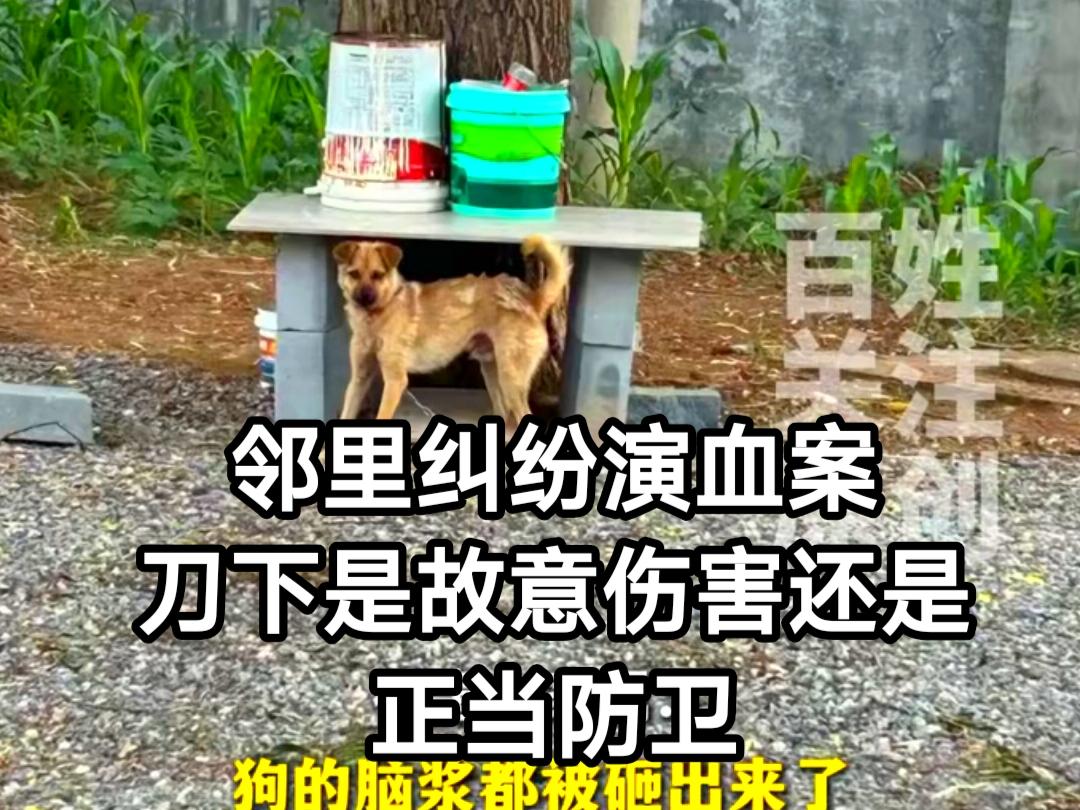 一把剔骨刀，两条人命，狗咬人引发的邻里纠纷在山西长治演变成一场无法挽回的悲剧。