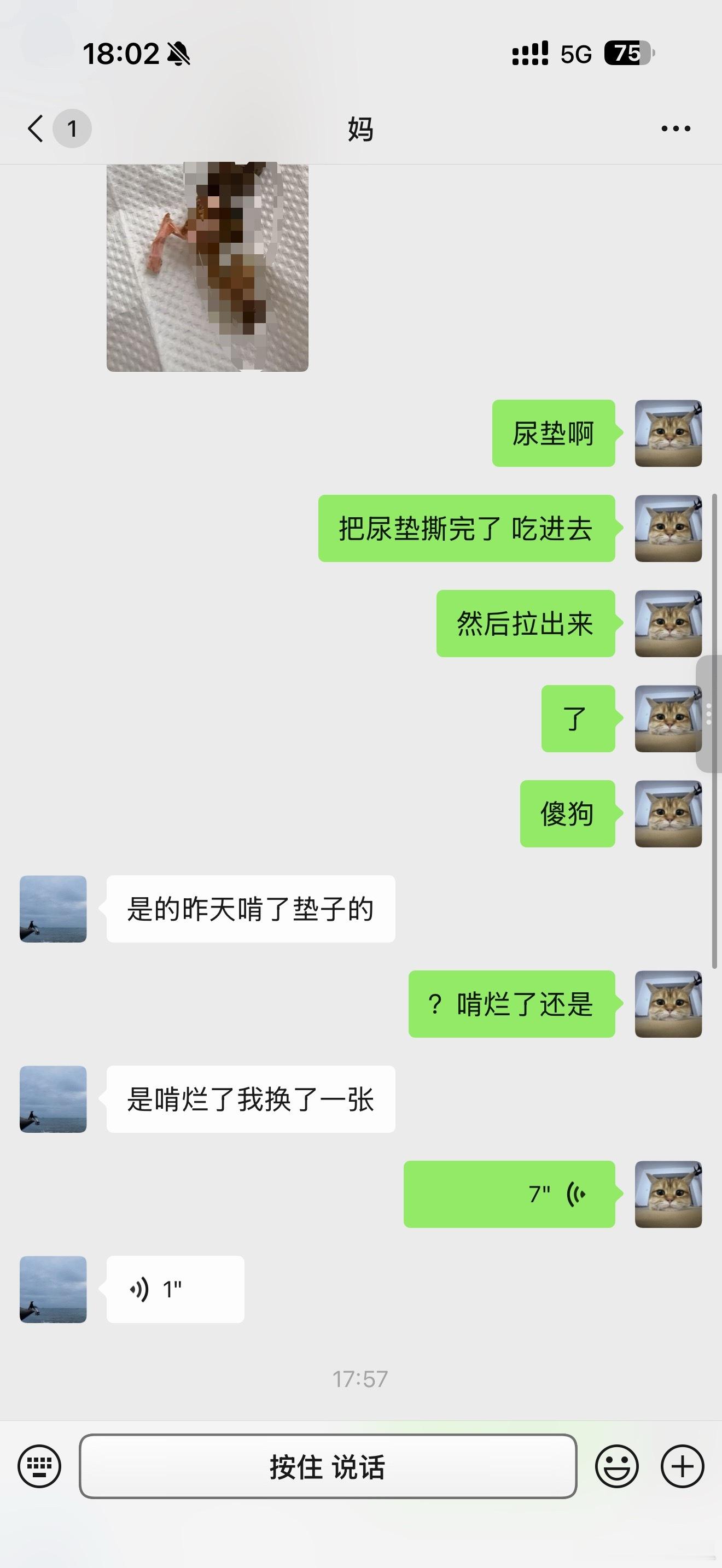 ？我在教我妈训狗语气我妈网感我不知道…..