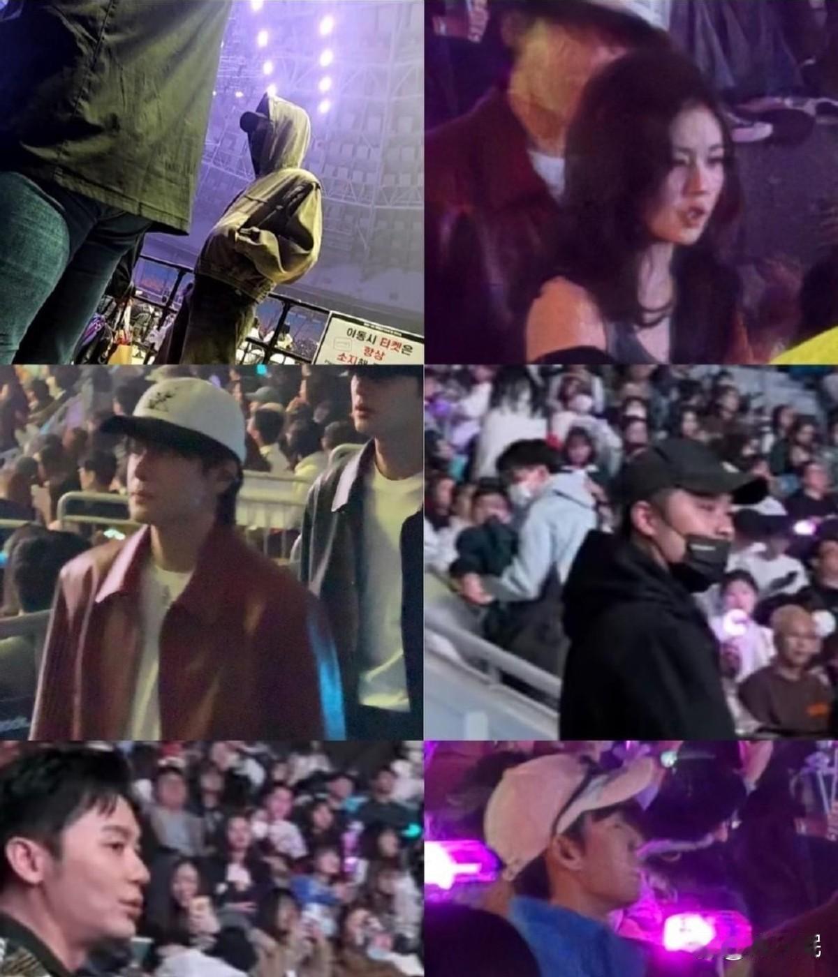 宋雨琦首尔演唱会台下，李晨郑恺陈赫范丞丞白鹿坐成一排举着手幅。李晨和郑恺不是一