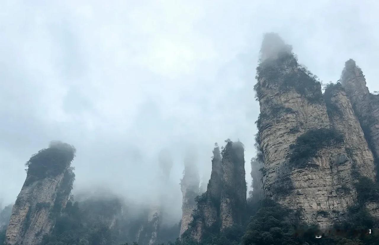 张家界已回！给大家分享一下！什么季节都能去，只需要避开雨天！来张家界旅游，这