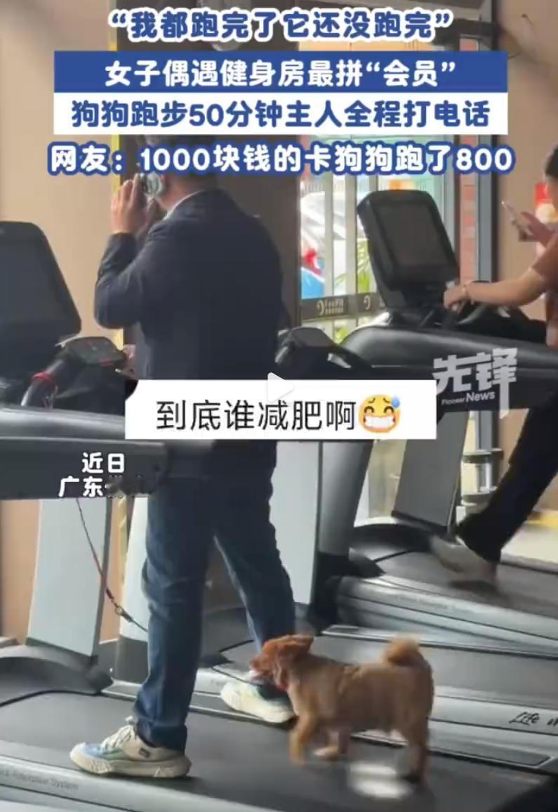笑死了！广东佛山，一名男子牵着自家小狗进了健身房，本来大家还以为是顺路带着，结果