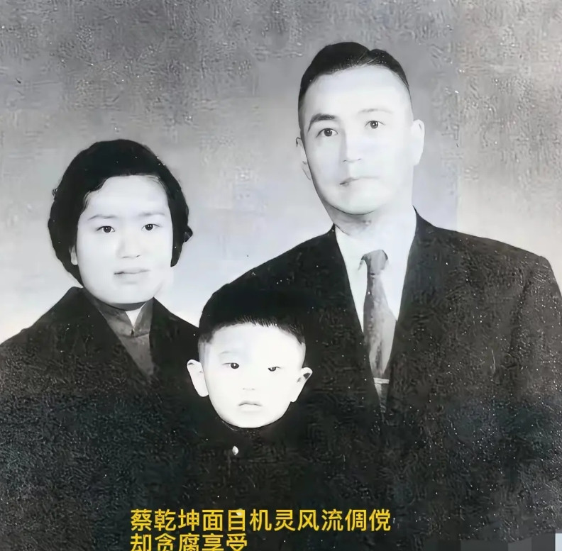 不知道《沉默的荣耀》为什么选择这个演员饰“蔡孝乾”？演技差，口型对不上，手势
