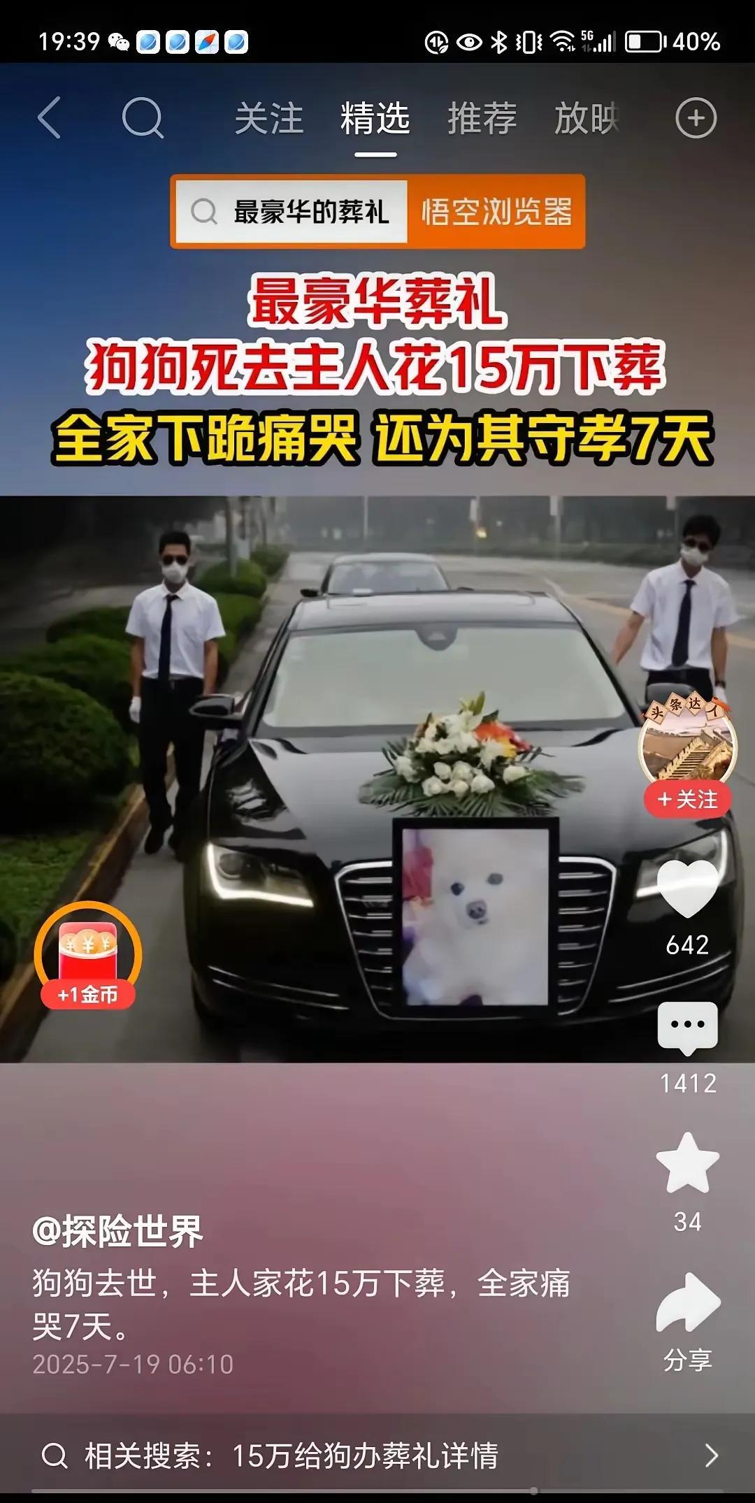 荒唐，为死狗豪华办葬礼！世界之大，无奇不有；有钱，豪横，任性！一条宠物狗，死