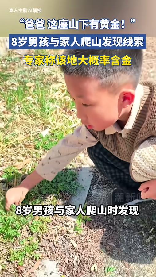 “厉害了小孩哥！”4月16日，辽宁大连，一8岁男孩和家人爬山时，发现了一大堆问荆