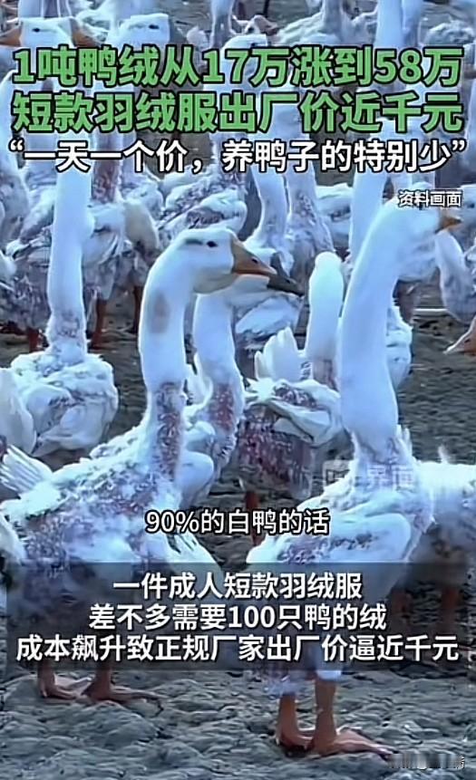 幸好我们广东天气还算温暖，要不然羽绒服都是一大笔支出。对羽绒这类衣服真的没什