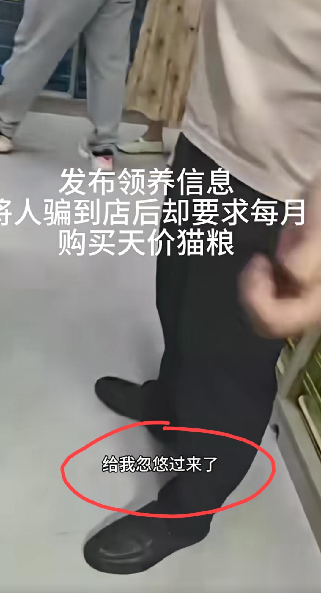 北京，女子发视频曝光:这家猫舍假装一个小姑娘，说工作忙养不了猫了，把她骗过去，她