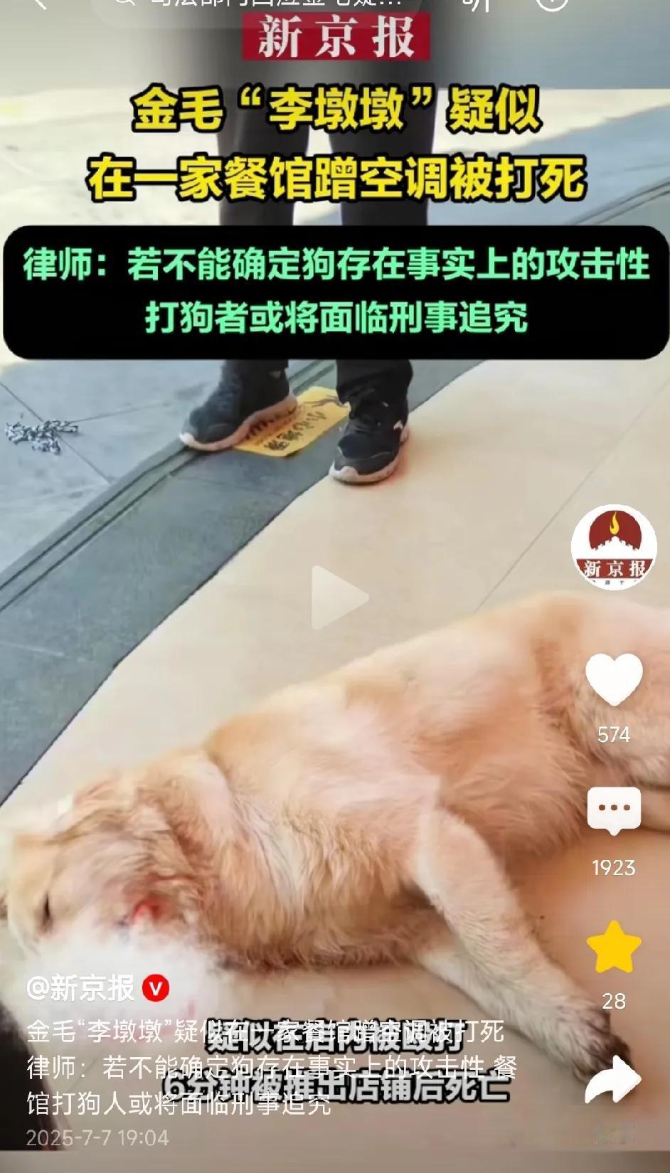 律师：若不能确定狗存在事实上的攻击性，打狗者或将面临刑事追究。恕我直言，我是
