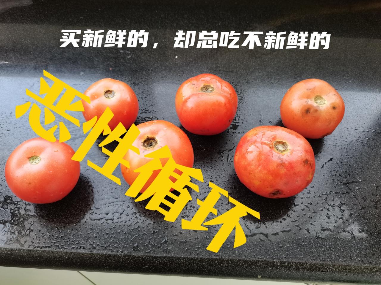 买新菜，却总是先吃坏的，这叫会过日子吗？买菜的时候，千挑万选，不能有一点儿瑕