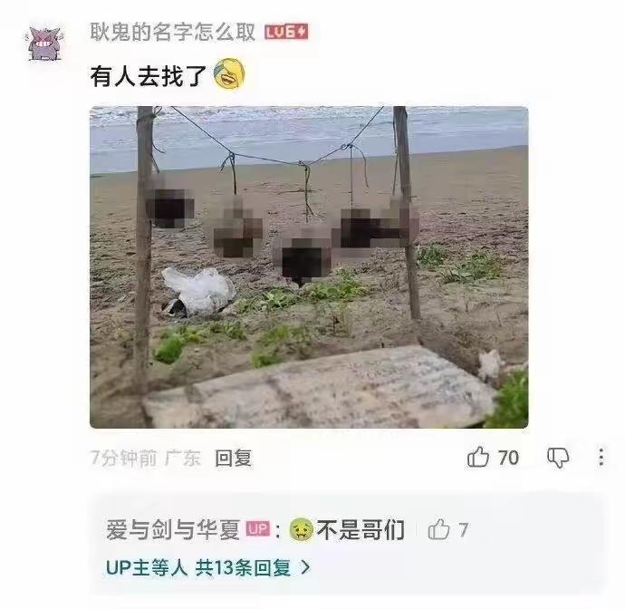 这个让三妹惊恐爆粗口，让沈逸老师默然无语留下心理阴影，牢A口中的糖霜苹果被