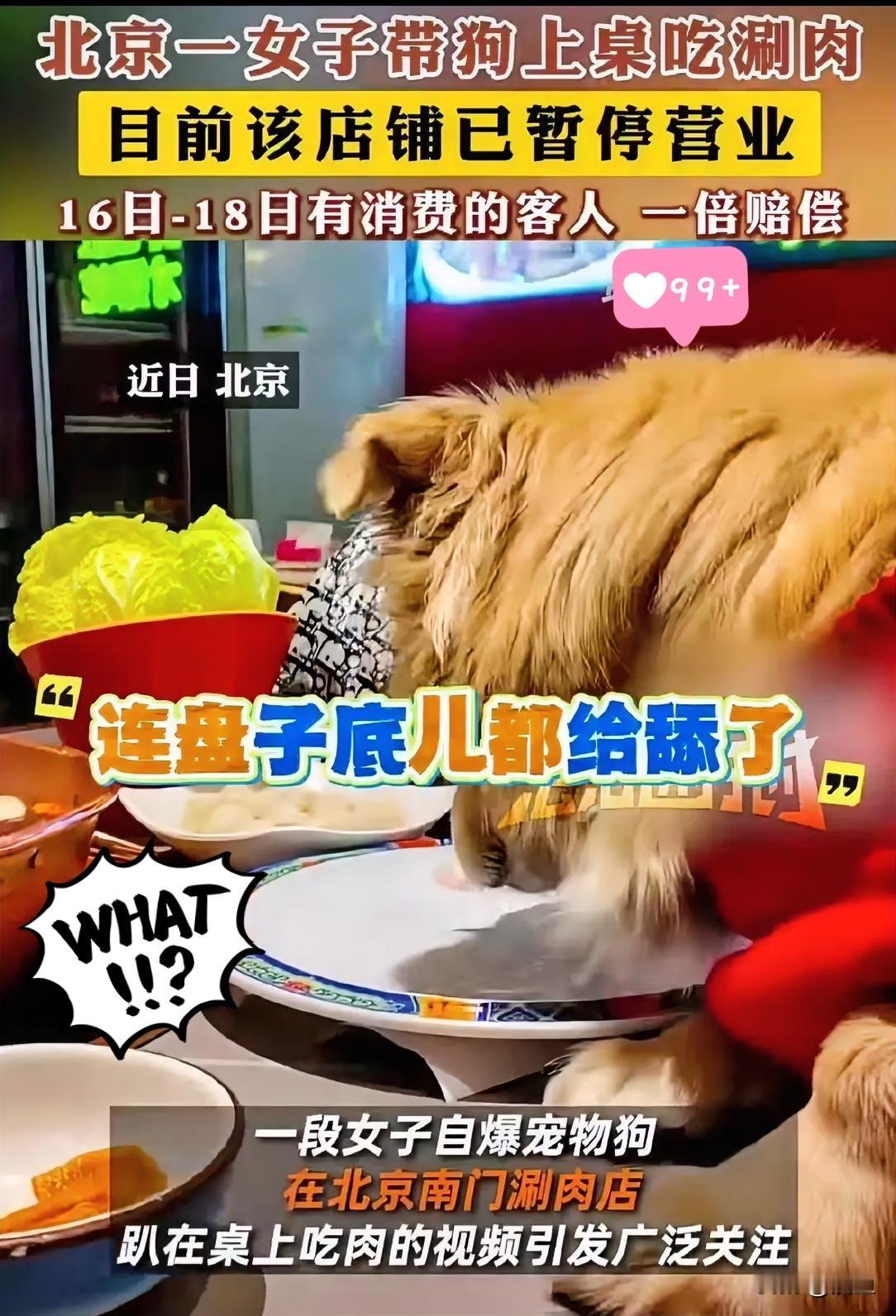 这下出名了，全国人民都知道了这事儿看着真让人反胃，去涮肉馆吃饭，把狗抱上桌让