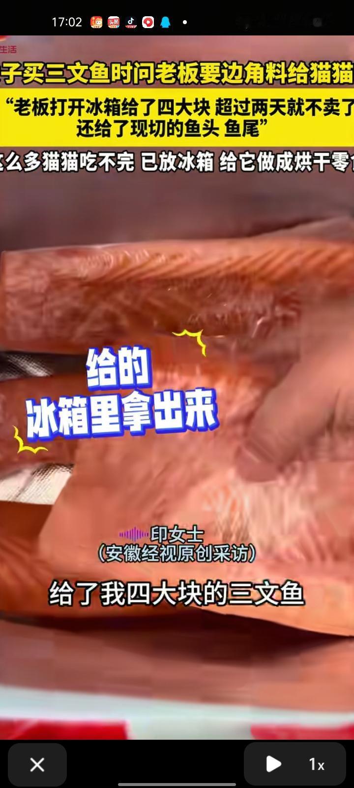 12月6日，上海。女子发视频表示，买三文鱼时问老板要边角料给猫咪吃，没想到老板打