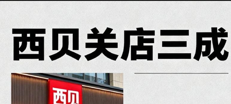 西贝这家优秀的企业，死于一场现代的“叫魂”风潮，实在令人无语无奈和痛心。临时