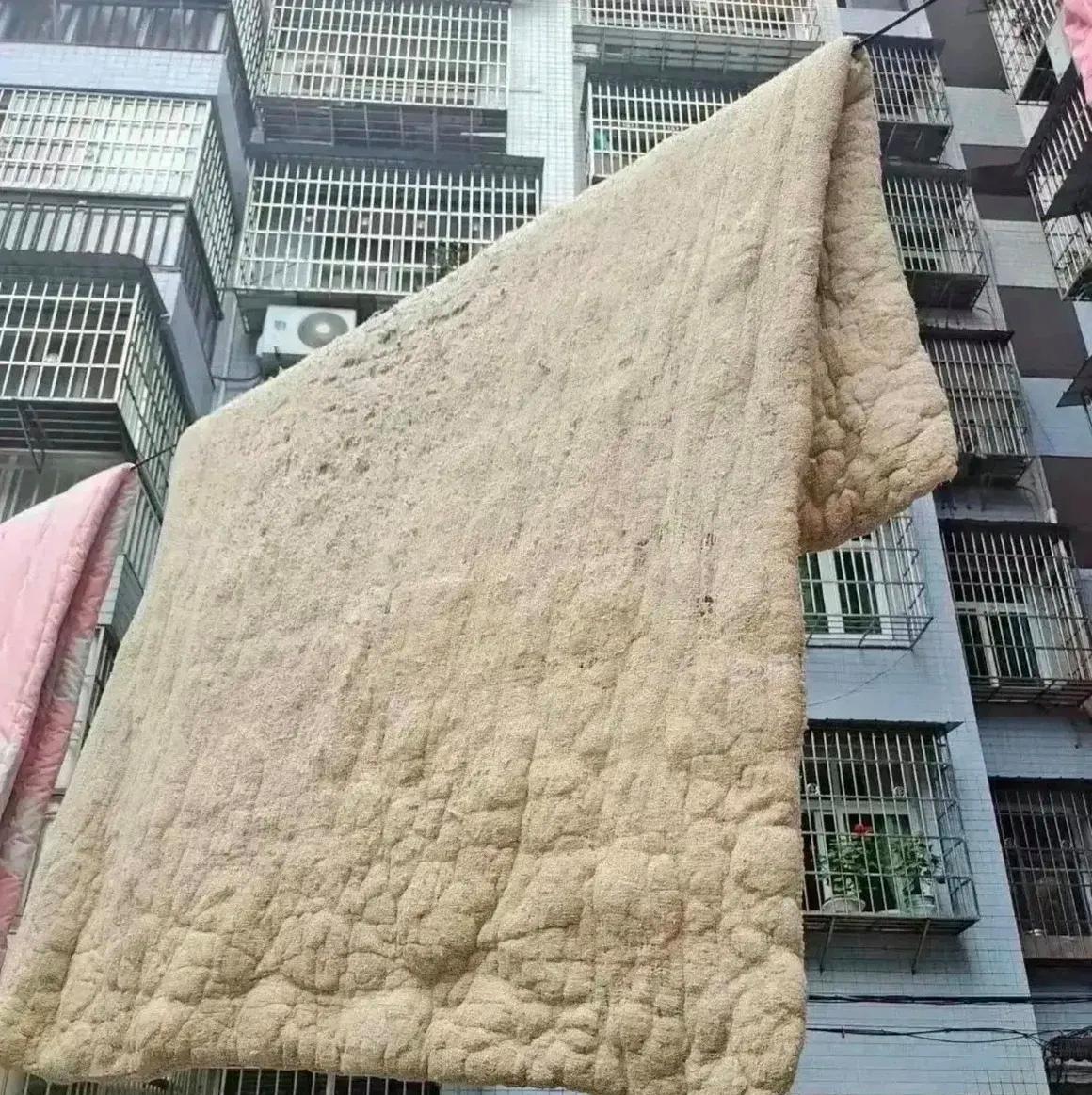 高档小区见不到晒被子的？原来有钱人是这么处理的我那住市区一梯两户高档小区的闺