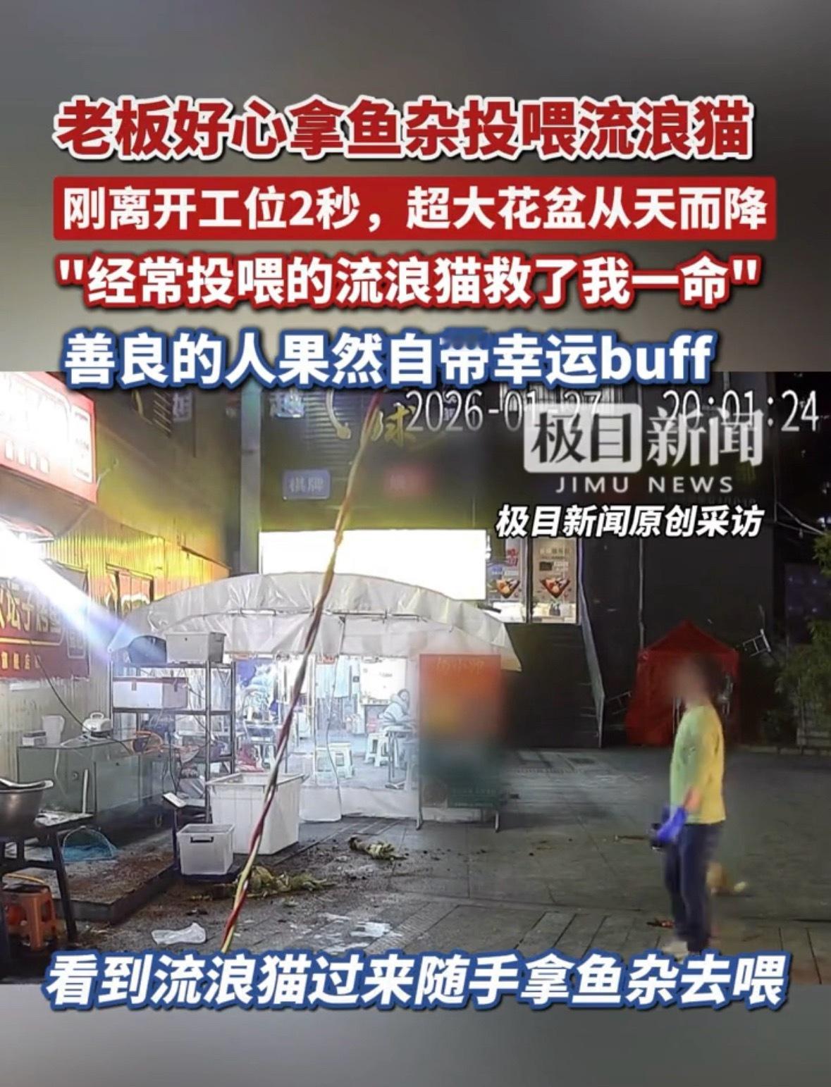 烤鱼店老板投喂流浪猫躲过一劫看到评论区说“好人有好报”。鱼：？？？