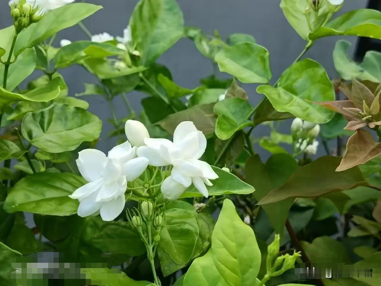朋友家里原来是老婆管钱，这女人特别小气，即使是娘家亲兄弟姐妹借钱，也一定要打欠条