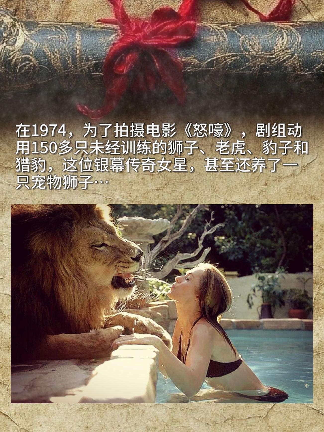 1974年拍《怒嚎》的时候，剧组居然找了150多只没经过训练的狮子、老...