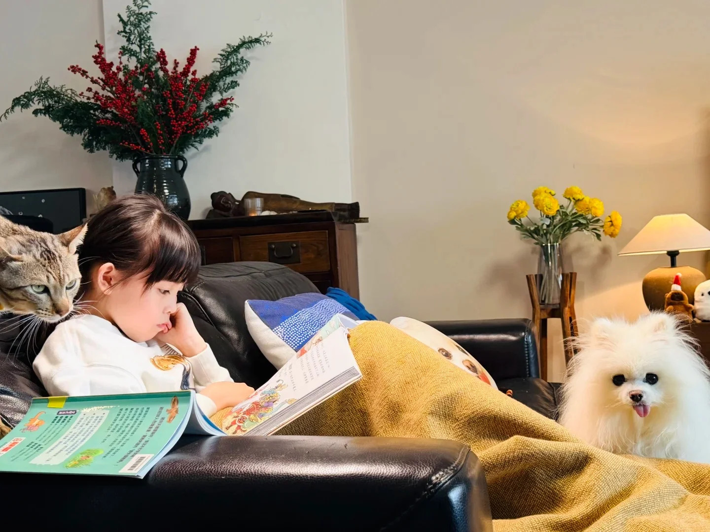 “小宝”尔冬升女儿Teresa，有爱猫与狗狗陪伴，静静看书。