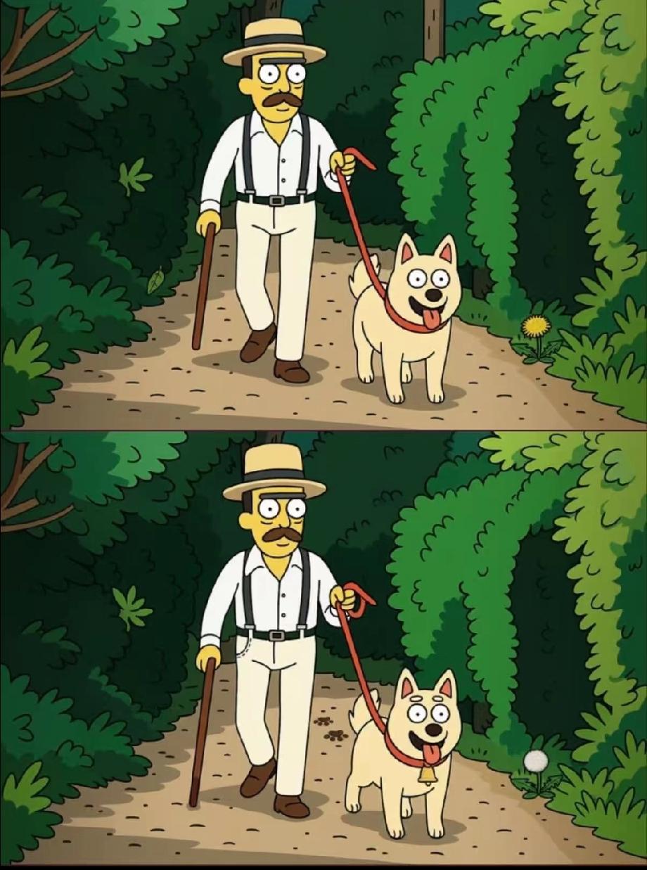 这张遛狗图藏了5处不同，找到3处才算及格，你敢来试试吗？