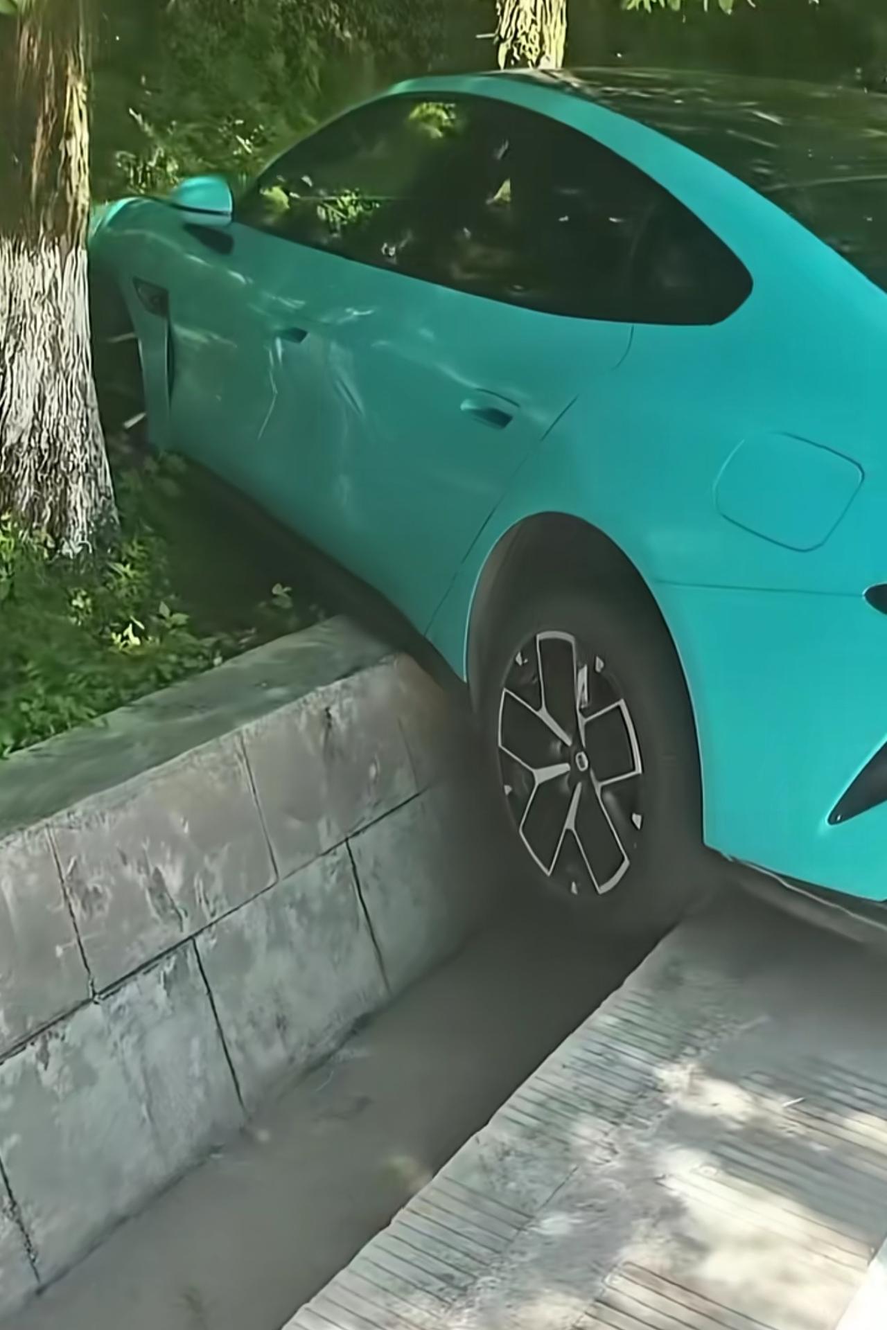 你们知道为什么杂粮煎饼这么喜欢上绿化带这所有的一切都取决于他的电