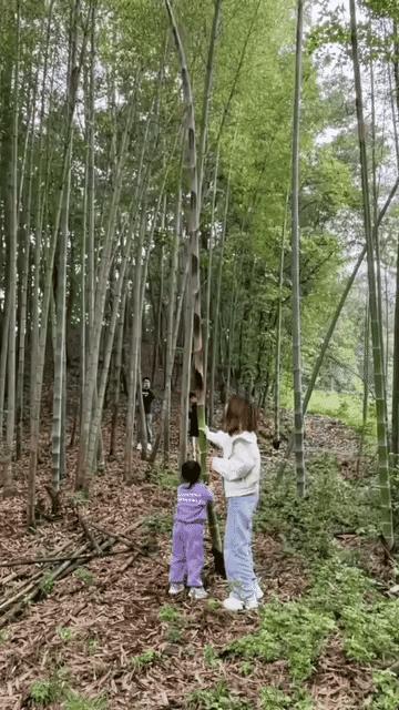 带孩子做这么危险的事你一定是后妈。