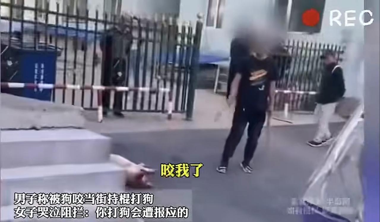 “别打它！”男子用木棍打狗被一女子哭着喊着阻止，还说男子打狗会遭报应。男子用