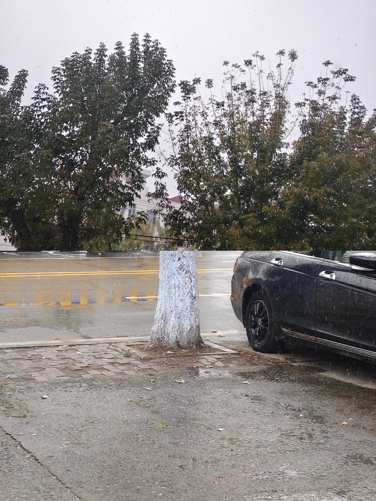 二零二五年，哈尔滨头场雪来了。早上出门儿一看，好家伙，天阴得跟锅底似的，
