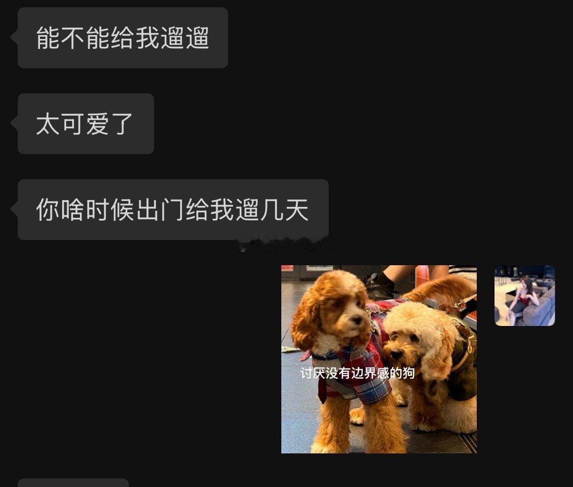 由于喜欢我家狗子的人太多，我决定给我家狗子开个号了​​​
