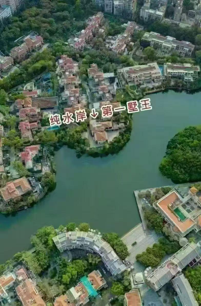 楼市第一线超100000人围观,深圳最贵法拍房正在激烈进行中…深圳楼市华侨城