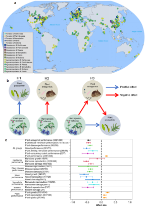 想要防虫增产? 植物种植要“混搭”! 华理团队最新揭秘养好植物的秘诀