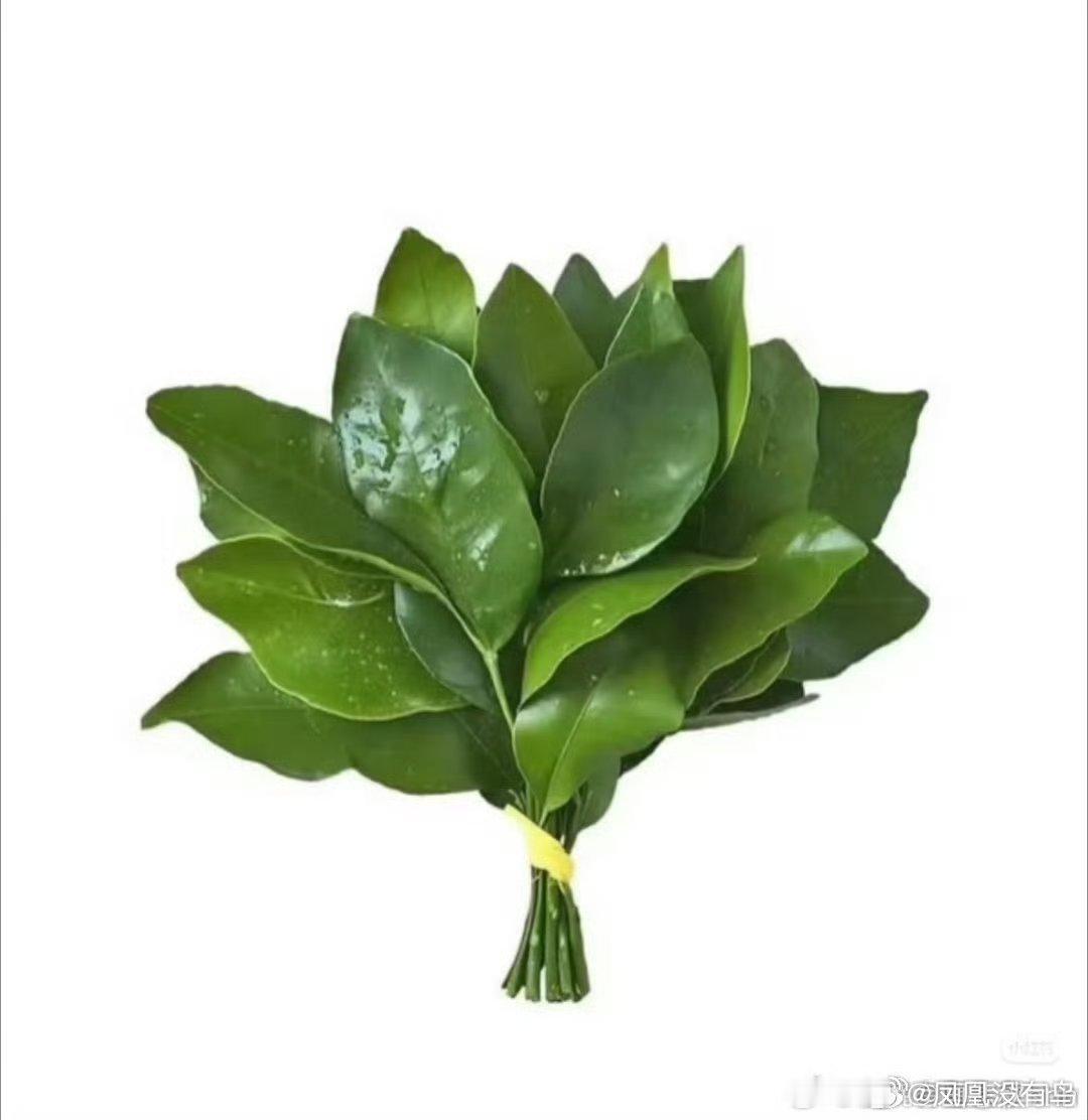 大清早补瓜只能说虞书欣真的被人做局了去去晦气吧……​​​
