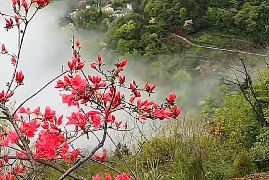 女人一定要认识一位能让你，可以以肆无忌惮聊天的男性朋友。在你需要他的时候，他