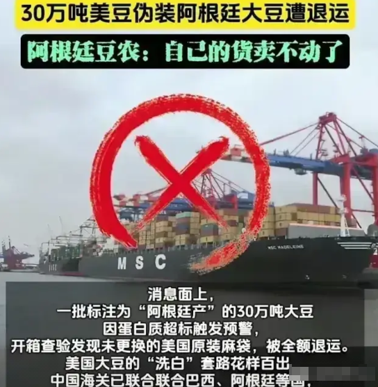 美国的阴谋诡计被中国识破了！30万吨阿根廷大豆全部退运！因为原产地是美国的，敌人
