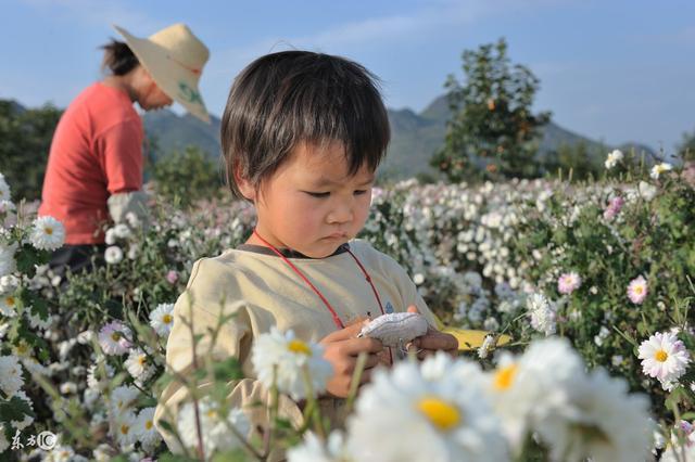 父母这5点越懒, 孩子未来就越成功